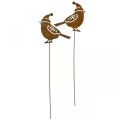 Floristik24 Zahradní kůlový ptáček s ozdobou patina čepice 12cm 6ks