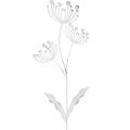 Floristik24 Jarní dekorace, deco plug květina shabby chic bílá, stříbrná D87cm Š18cm