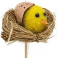 Floristik24 Ozdobná špuntová kuřátka do hnízda Velikonoční dekorace na špuntování Ø6cm 6 kusů