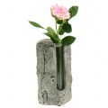 Floristik24 Betonová váza se zkumavkou H15cm 3ks