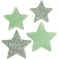 Floristik24 Bodová dekorace Vánoční hvězdy rozptylové hvězdy zelené Ø4/5cm 40ks