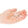 Dekorativní hvězdicové ozdoby, duhový čirý akryl, vánoční ozdoby na stromeček, 9 cm, 6 kusů | Floristik24.cz