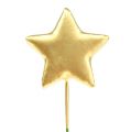 Floristik24 Hvězda na drátě 4cm zlatá 60ks
