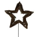 Floristik24 Hvězda z vinné révy natur 65cm na palici L160cm