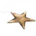 Floristik24 Dřevěná hvězda k zavěšení přírodní flambovaná vánoční dekorace 20cm