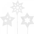 Floristik24 Flower plug stars, adventní, květinová dekorace, dřevěné hvězdy přírodní, bílé, zlaté třpytky L27 / 28,5cm 18ks