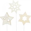 Floristik24 Flower plug stars, adventní, květinová dekorace, dřevěné hvězdy přírodní, bílé, zlaté třpytky L27 / 28,5cm 18ks