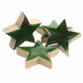 Floristik24 Vánoční hvězda mango zelená lakovaná 5cm 16p