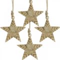 Floristik24 Hvězda mangové dřevo příroda, zlaté ozdoby na vánoční stromeček 12cm 4ks