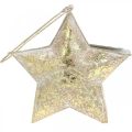Floristik24 Dekorativní hvězda kov k zavěšení a zdobení Zlatá Ø13cm