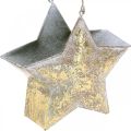 Floristik24 Dekorativní hvězda kov k zavěšení a zdobení Zlatá Ø13cm