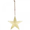 Floristik24 Zlatá hvězda, adventní dekorace, deko přívěsek na Vánoce 12×13cm 2ks