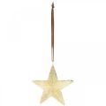 Floristik24 Hvězdičky na zavěšení, kovové ozdoby, ozdoby na vánoční stromeček zlatá 9,5 × 9,5 cm 3ks