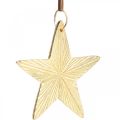 Floristik24 Hvězdičky na zavěšení, kovové ozdoby, ozdoby na vánoční stromeček zlatá 9,5 × 9,5 cm 3ks
