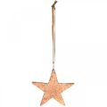 Floristik24 Měděná hvězda na zavěšení, ozdoba na vánoční stromeček, kovové přívěsky 8×9cm 2ks