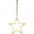 Floristik24 Vánoční přívěsek, adventní dekorace hvězda, dekorace hvězda zlatá 14×14cm