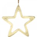 Floristik24 Vánoční přívěsek, adventní dekorace hvězda, dekorace hvězda zlatá 14×14cm