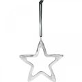 Floristik24 Kovová hvězda na zavěšení, adventní dekorace, vánoční přívěsek stříbrný 14 × 14cm
