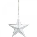 Floristik24 Hvězda na zavěšení, vánoční ozdoby, kovová dekorace bílá 19,5 × 18,5 cm