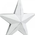 Floristik24 Hvězda na zavěšení, vánoční ozdoby, kovová dekorace bílá 19,5 × 18,5 cm