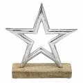 Floristik24 Hvězda na zasazení Mango, kov stříbrná 21 × 16,5 cm