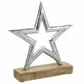 Floristik24 Hvězda na zasazení Mango, kov stříbrná 21 × 16,5 cm