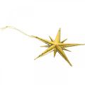 Floristik24 Vánoční dekorace přívěsek hvězda zlatý Š11,5cm 16ks