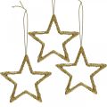Floristik24 Vánoční dekorace přívěsek hvězda zlatý třpyt 7,5cm 40p