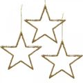 Floristik24 Třpytivé hvězdy, adventní dekorace, hvězdné ozdoby na zavěšení, vánoční ozdoby zlaté 11,5 × 12 cm 12ks
