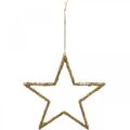 Floristik24 Třpytivé hvězdy, adventní dekorace, hvězdné ozdoby na zavěšení, vánoční ozdoby zlaté 11,5 × 12 cm 12ks