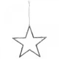 Floristik24 Hvězda na zavěšení, vánoční ozdoby na stromeček, dekorace hvězda stříbrná 11,5 × 12 cm 12ks