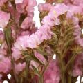 Floristik24 Beach Lilac Pink Limonium Sušené květiny 60cm 50g