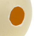 Floristik24 Pštrosí vejce příroda foukané prázdné dekorace