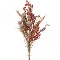 Floristik24 Umělé rostliny podzimní dekorace bodláky bobule kapradiny 65cm trs