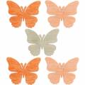 Floristik24 Bodová dekorace motýl dřevění motýlci letní dekorace oranžová, meruňka, hnědá 144 kusů