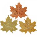 Floristik24 Stolní dekorace podzimní, rozptylová dekorace dřevo javorový list š4cm 72ks