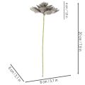 Umělá sukulentní vosková umělá rostlina s drátem 8 cm 8 ks | Floristik24.cz