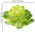Umělá sukulentní rostlina, zelená, k dekoraci do misky nebo vázy, 10 cm, 4 kusy | Floristik24.cz