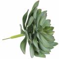 Floristik24 Dekorativní sukulentní rostlina umělá zelená Ø30cm V27cm