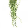 Floristik24 Sukulentní umělá závěsná rostlina zelená 96cm