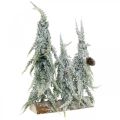 Floristik24 Jedle se sněhem, adventní dekorace, zimní les L16,5cm H28cm