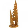 Floristik24 Lucerna vánoční stromky, kovová dekorace v patině, Vánoce V46cm Š25,5cm
