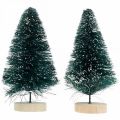 Floristik24 Mini jedle zasněžená, zimní dekorace, vánoční stromek V9,5cm Ø5cm 2ks