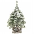 Floristik24 Vánoční stromeček se sněhem, vánoční dekorace, dekorativní jedle H14cm
