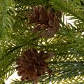 Girlanda z umělých borovicových větviček s kužely pro adventní dekoraci 218 cm | Floristik24.cz