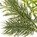 Umělá jedlová větvička pro slavnostní dekoraci, 22 cm, 2 kusy | Floristik24.cz
