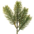 Floristik24 Umělá zelená jedlová větvička pro zimní dekorace, 25 cm, 24 kusů