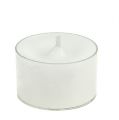 Floristik24 Čajové svíčky bílé v plastové misce 50ks
