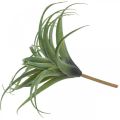 Umělá umělá rostlina Deco Tillandsia na nalepování zelená Ø45cm