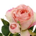 Floristik24 Stolní dekorace růže v květináči světle růžová 14cm